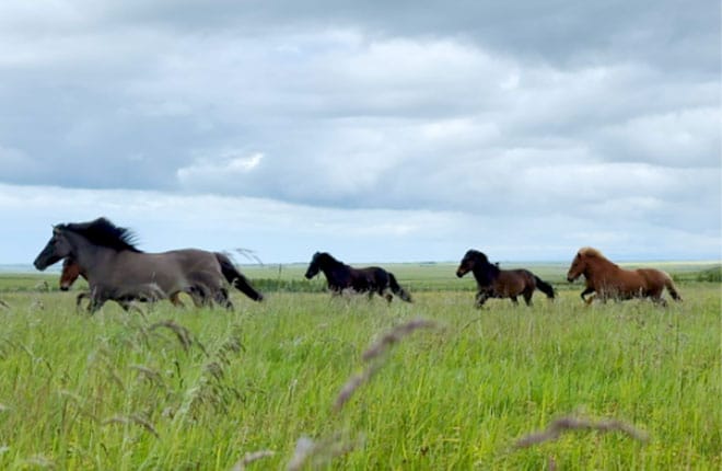 04-iphone-16-pro-max